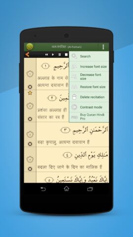 Quran Hindi (हिन्दी कुरान) для Android — скриншот 3