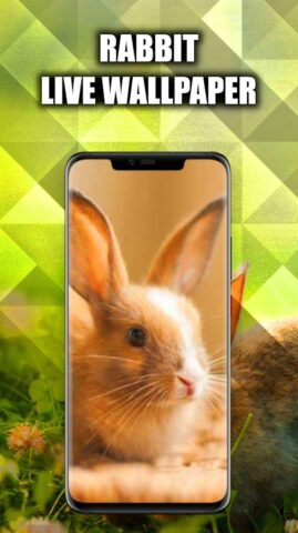 Кролик Обои HD/3D/4K для Android — скриншот 1