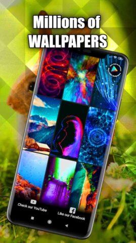 Кролик Обои HD/3D/4K для Android — скриншот 3