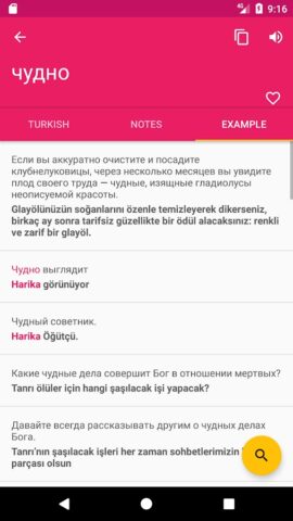 турецкий русский Словарь для Android — скриншот 3