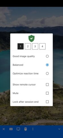 RustDesk Remote Desktop — скриншот 3