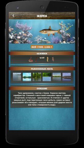 Рыбалка на трофея для Android — скриншот 4