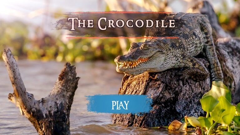 The Crocodile для Android — скриншот 2