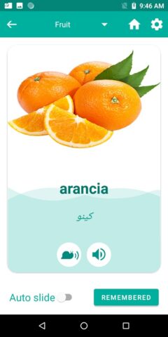 Urdu Italian Translator для Android — скриншот 4