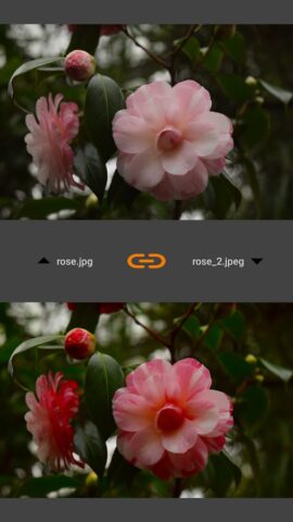 VES — Image and Photo Compare для Android — скриншот 3