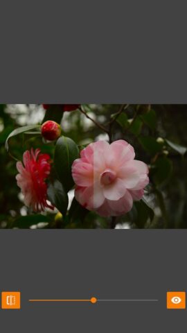 VES — Image and Photo Compare для Android — скриншот 4