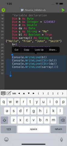 Visual Basic (VB.NET) Compiler для iOS — скриншот 3