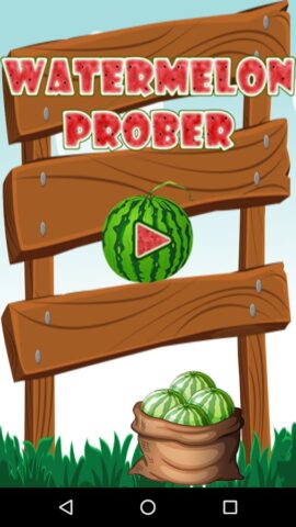 Watermelon Prober для Android — скриншот 1