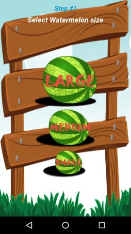 Watermelon Prober для Android — скриншот 2