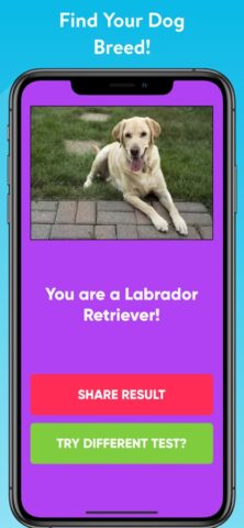What Type Of Dog Are You? для iOS — скриншот 2