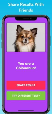What Type Of Dog Are You? для iOS — скриншот 3