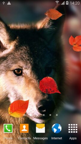 Волки Живые Обои для Android — скриншот 4
