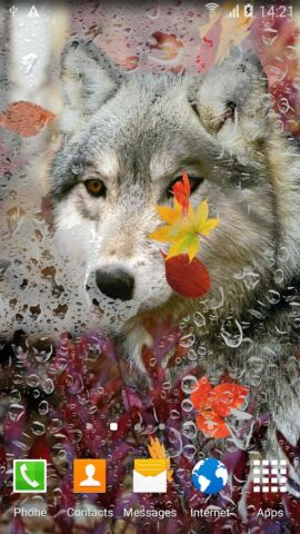 Волки Живые Обои для Android — скриншот 5