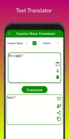 Yucatec Maya Translator для Android — скриншот 4