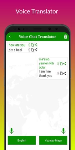 Yucatec Maya Translator для Android — скриншот 5