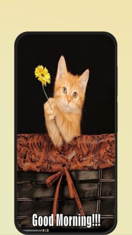 Cat Good Morning для Android — скриншот 3