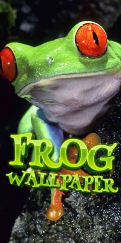 милые лягушки обои для Android — скриншот 1