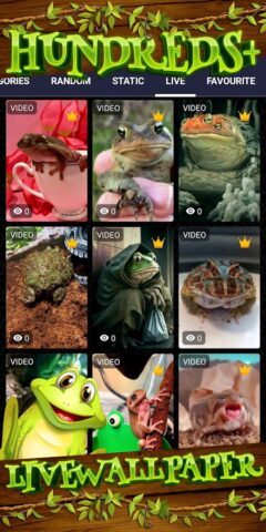 милые лягушки обои для Android — скриншот 3