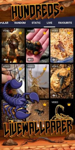 скорпион обои для Android — скриншот 3