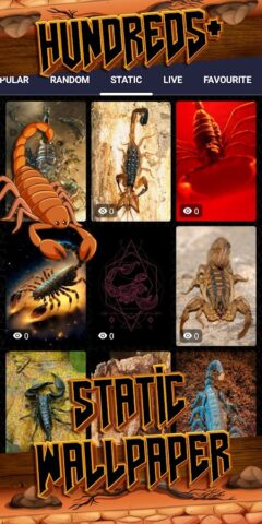 скорпион обои для Android — скриншот 4