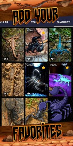 скорпион обои для Android — скриншот 5