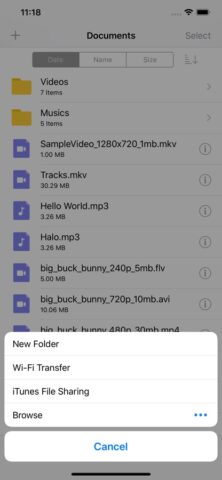 APlayer — Alook Player для iOS — скриншот 2