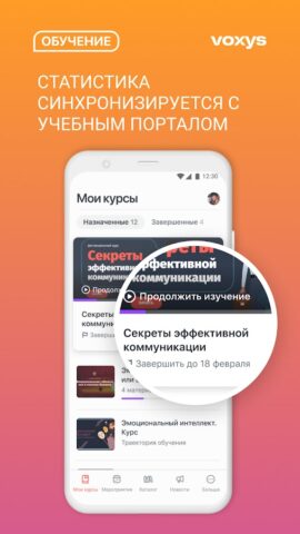 Академия VOXYS для Android — скриншот 4