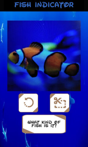 идентификатор рыбы для Android — скриншот 3