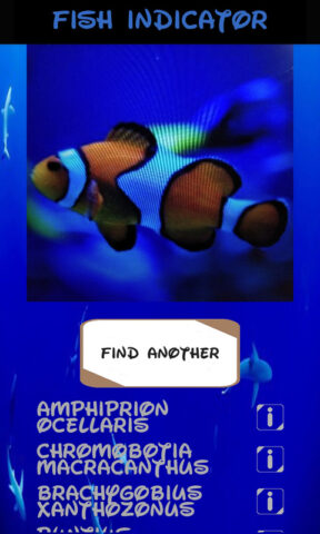 идентификатор рыбы для Android — скриншот 4