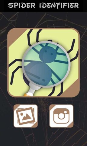 идентификатор паука для Android — скриншот 1