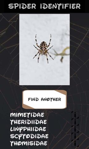 идентификатор паука для Android — скриншот 5