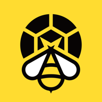 Пчела Спорт — счет онлайн для iOS