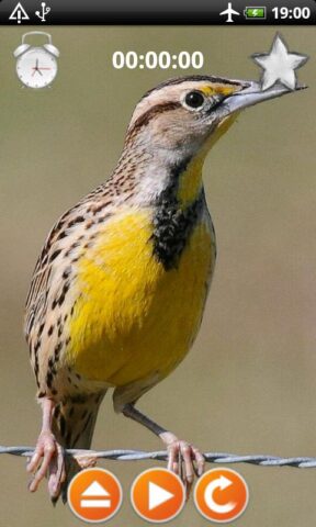 Птицы звонки Звуки для Android — скриншот 1