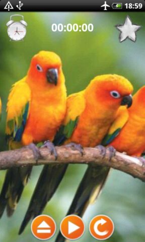 Птицы звонки Звуки для Android — скриншот 4