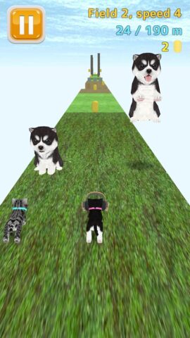 Кошка бегает для Android — скриншот 3