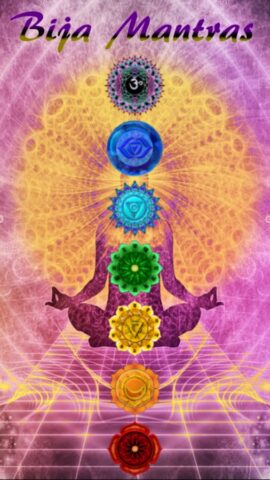 Чакры Открытие Pro для Android — скриншот 1