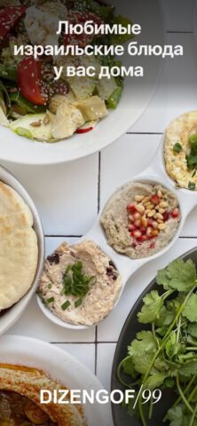 Dizengof/99 для iOS — скриншот 1