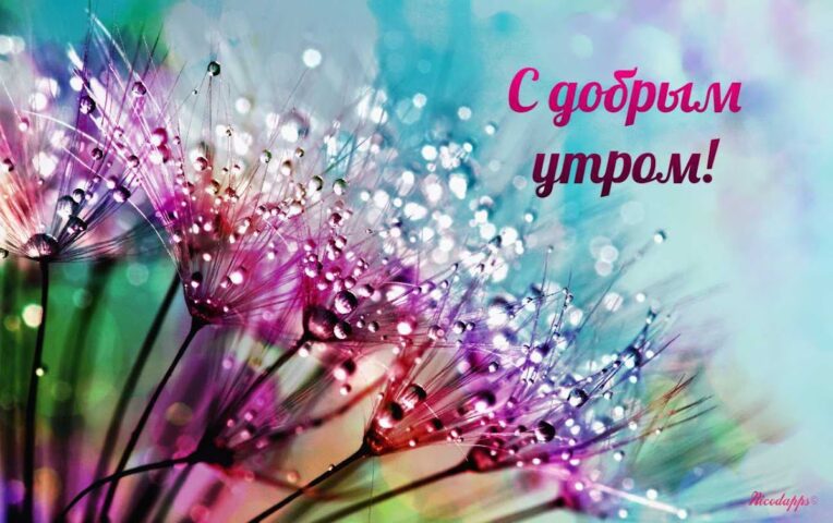 Доброе утро & Добрый вечер для Android — скриншот 3