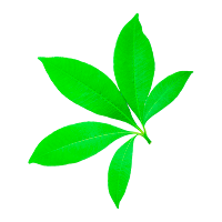 DoctorP — доктор для растений для Android