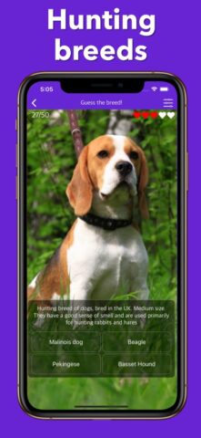 Собаки Моя Собака Тест 4 Лапы для iOS — скриншот 4