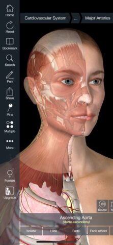 Essential Anatomy 5 для iOS — скриншот 2