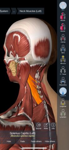 Essential Anatomy 5 для iOS — скриншот 3