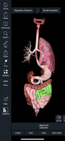 Essential Anatomy 5 для iOS — скриншот 4