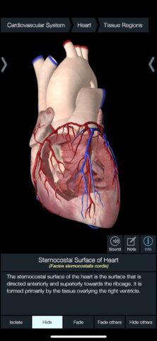 Essential Anatomy 5 для iOS — скриншот 5