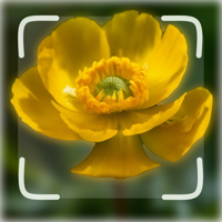 Определи  растение по фото для iOS