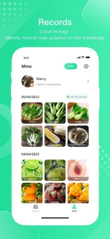 ФруктовОвощиSnap для Android — скриншот 5