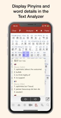 HanYou — Chinese Dictionary an для Android — скриншот 4