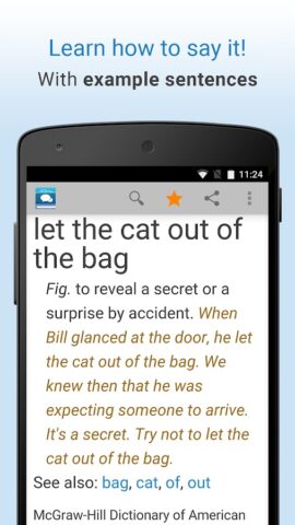 Idioms and Slang Dictionary для Android — скриншот 4