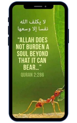 Исламские цитаты для Android — скриншот 1