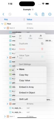 JSON Editor Mobile — скриншот 2